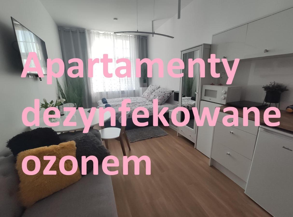 Apartament Elblag Goodenergy - Stare Miasto, Oldtown, Altstadt エクステリア 写真
